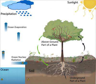 Editorial: Ecological links between aboveground and underground ecosystems under global change